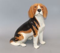 A Beswick fireside model of a Beagle height 32cm