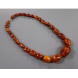 A single strand graduated oval amber bead necklace, gross weight, 107grams, 58cm.