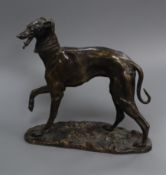 A Maison Alphonse Giroux bronze greyhound