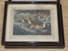 After Samuel Howitt (1765-1822), four coloured engravings, Studies of spaniels, stag hounds, deer
