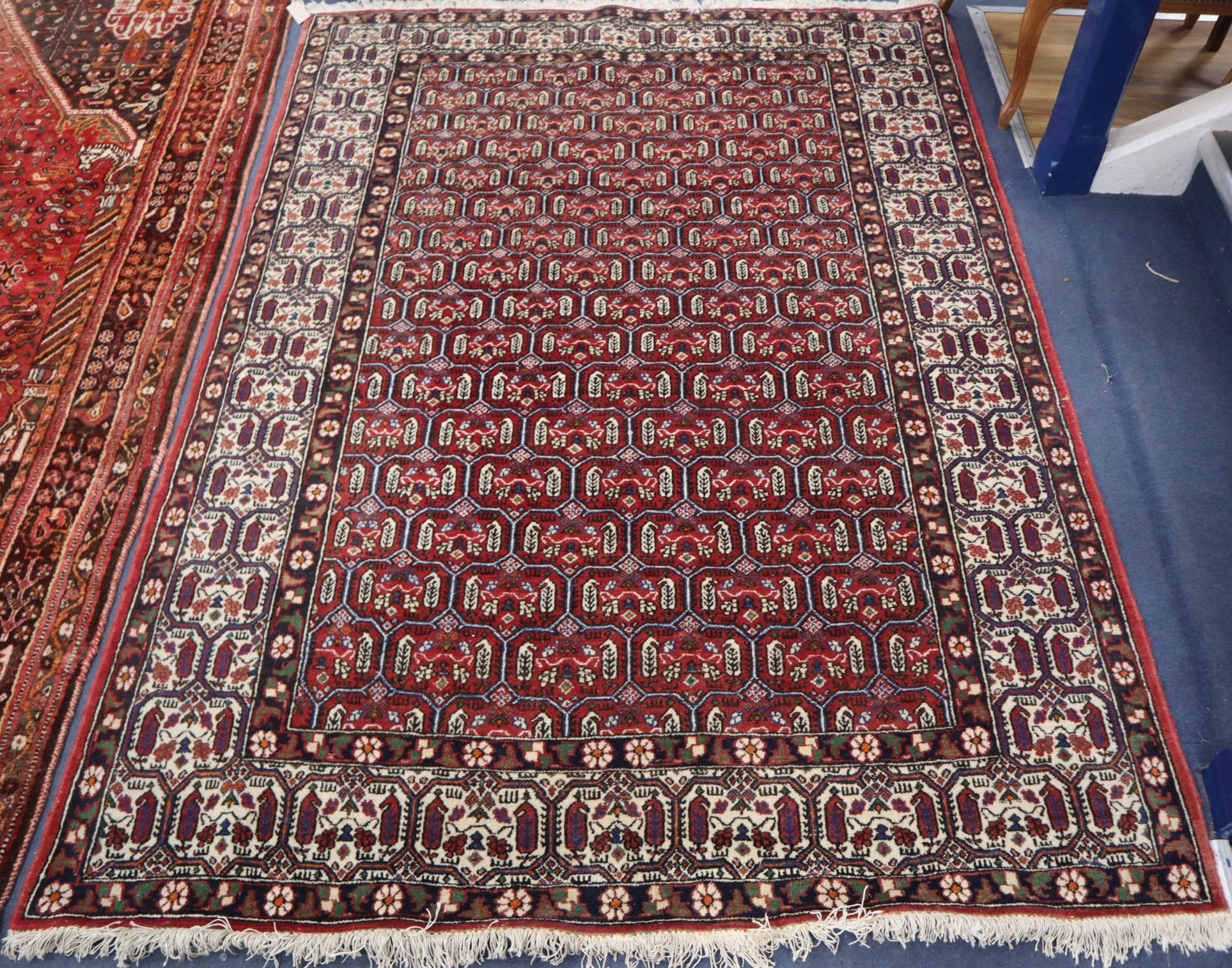 A Pakistan design red ground palmette design rug 210 x 150cm