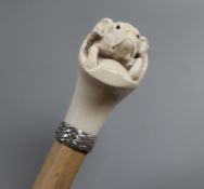 A carved ivory bulldog handled walking stick