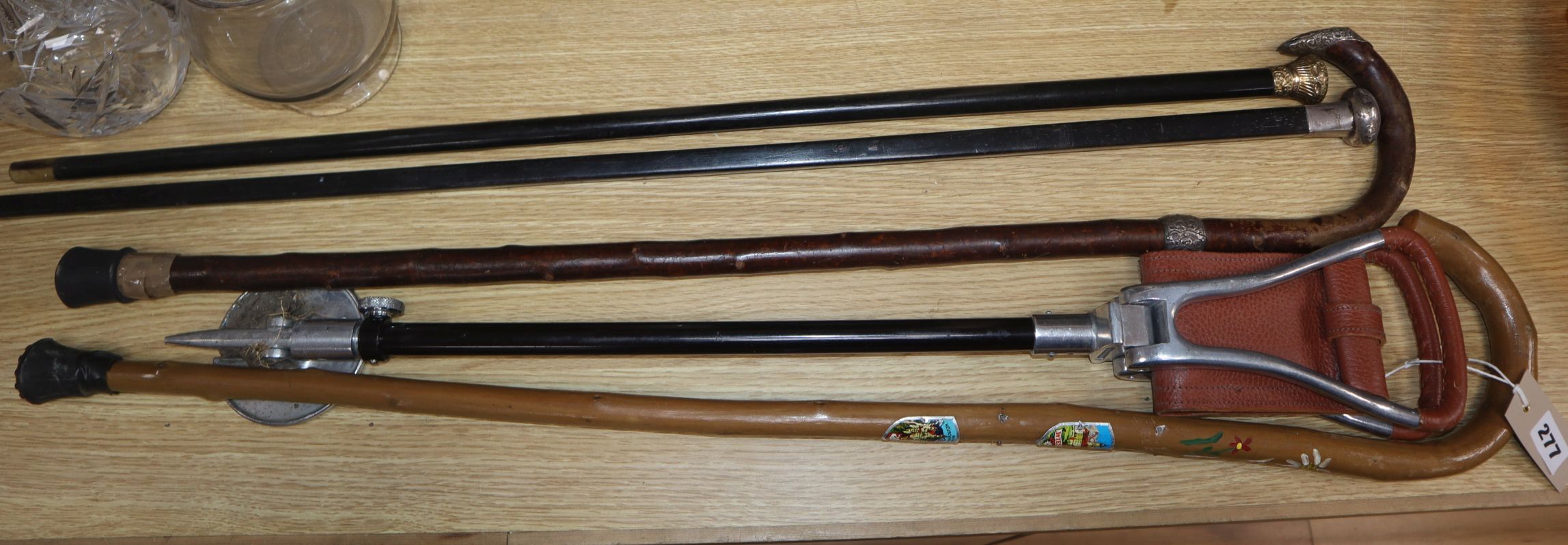 Four walking sticks and a shooting stick
