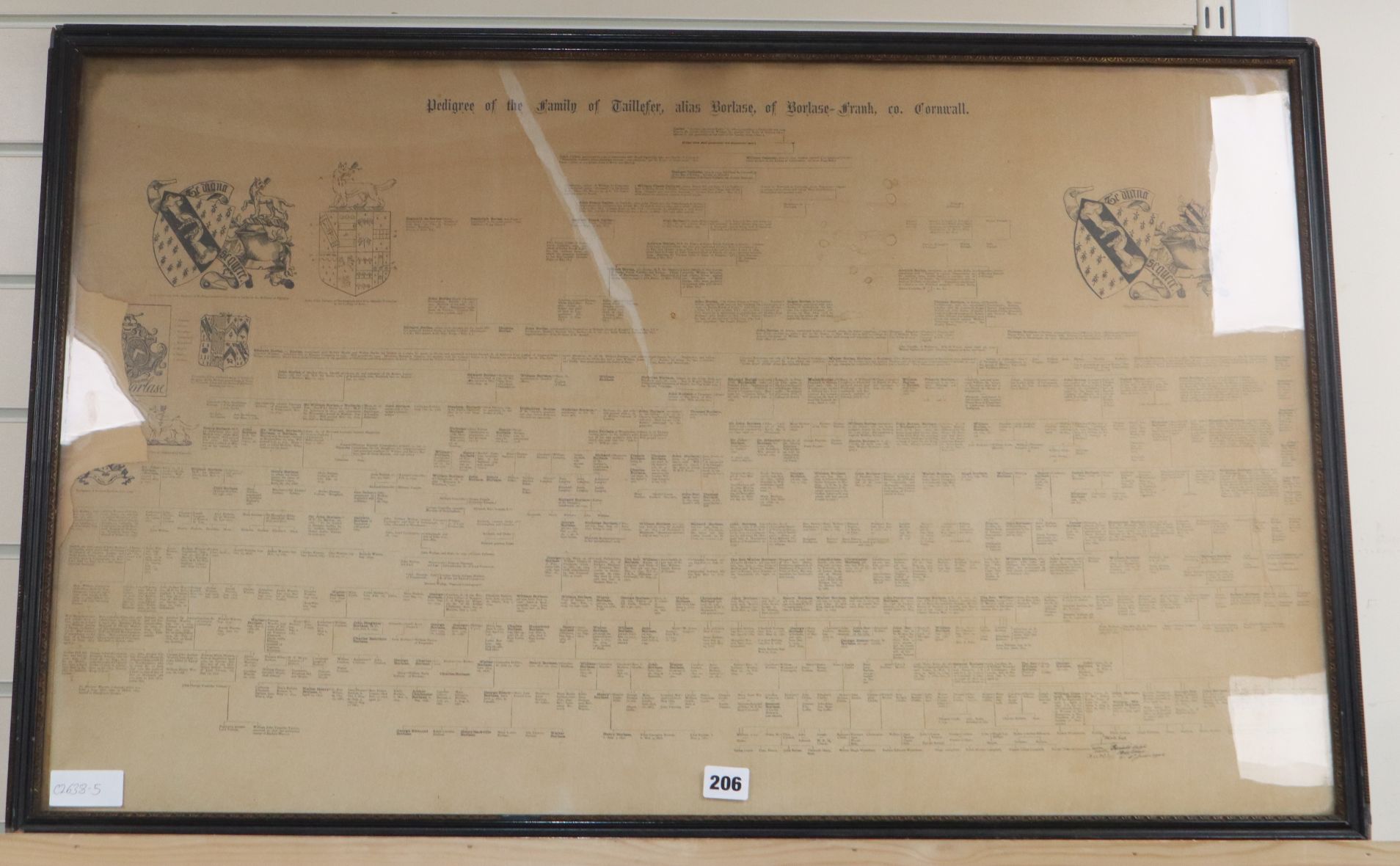 A framed copy of the Taillefer family tree