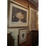 Three coloured prints of Classical vases, framed and glazed