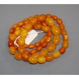 A single strand graduated oval amber bead necklace, gross weight 69 grams, 88cm.