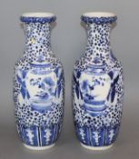 A pair of 19th century Chinese blue and white vases height 30cm