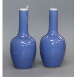 A pair of Chinese blue ground bottle vases