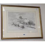 Attributed to Robert Hills Ows (1769-1844), study of goats, pencil and wash, Abbott & Holder label