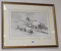 Attributed to Robert Hills Ows (1769-1844), study of goats, pencil and wash, Abbott & Holder label