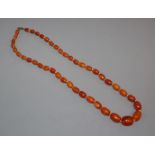 A single strand graduated amber bead necklace, gross weight 23 grams, 52cm.