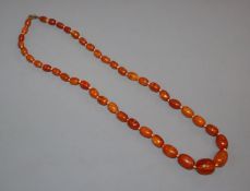 A single strand graduated amber bead necklace, gross weight 23 grams, 52cm.