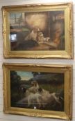 Early 20th century English School, pair of oils on canvas, Setters