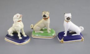 Three Chamberlains Worcester porcelain figures comprising two pugs and a poodle, c.1820-40, the fawn