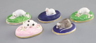 Five Chamberlain Worcester porcelain toy figures of animals, c.1820-40, comprising a white kitten, a