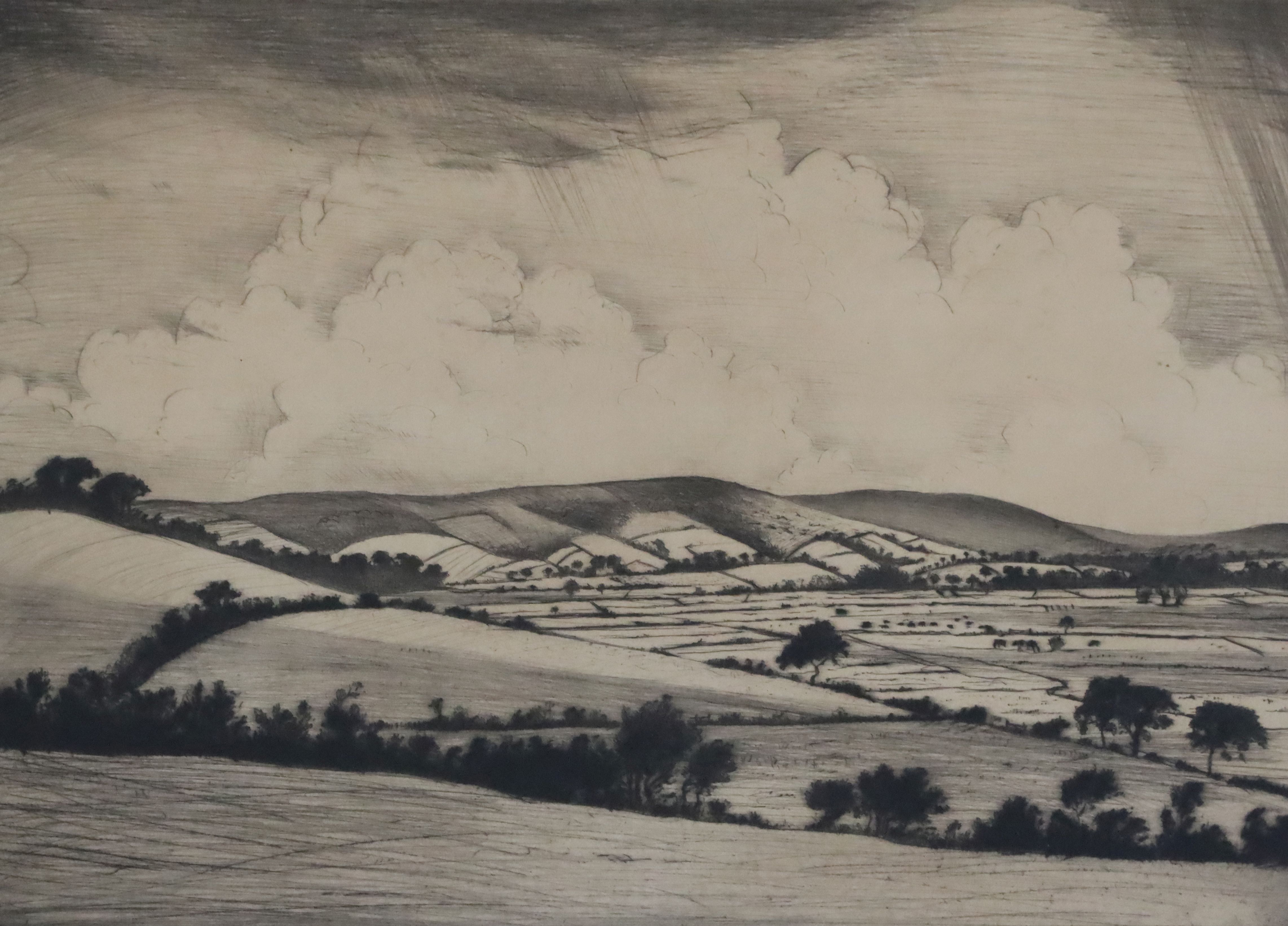 § Christopher Richard Wynne Nevinson (1889-1946)drypoint etchingValley in the South Downs (