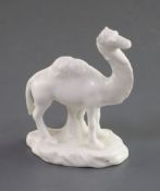 A rare Derby figure of a dromedary camel, c.1830-40, glazed in the white, unmarked, H. 8.7cmcf. D.