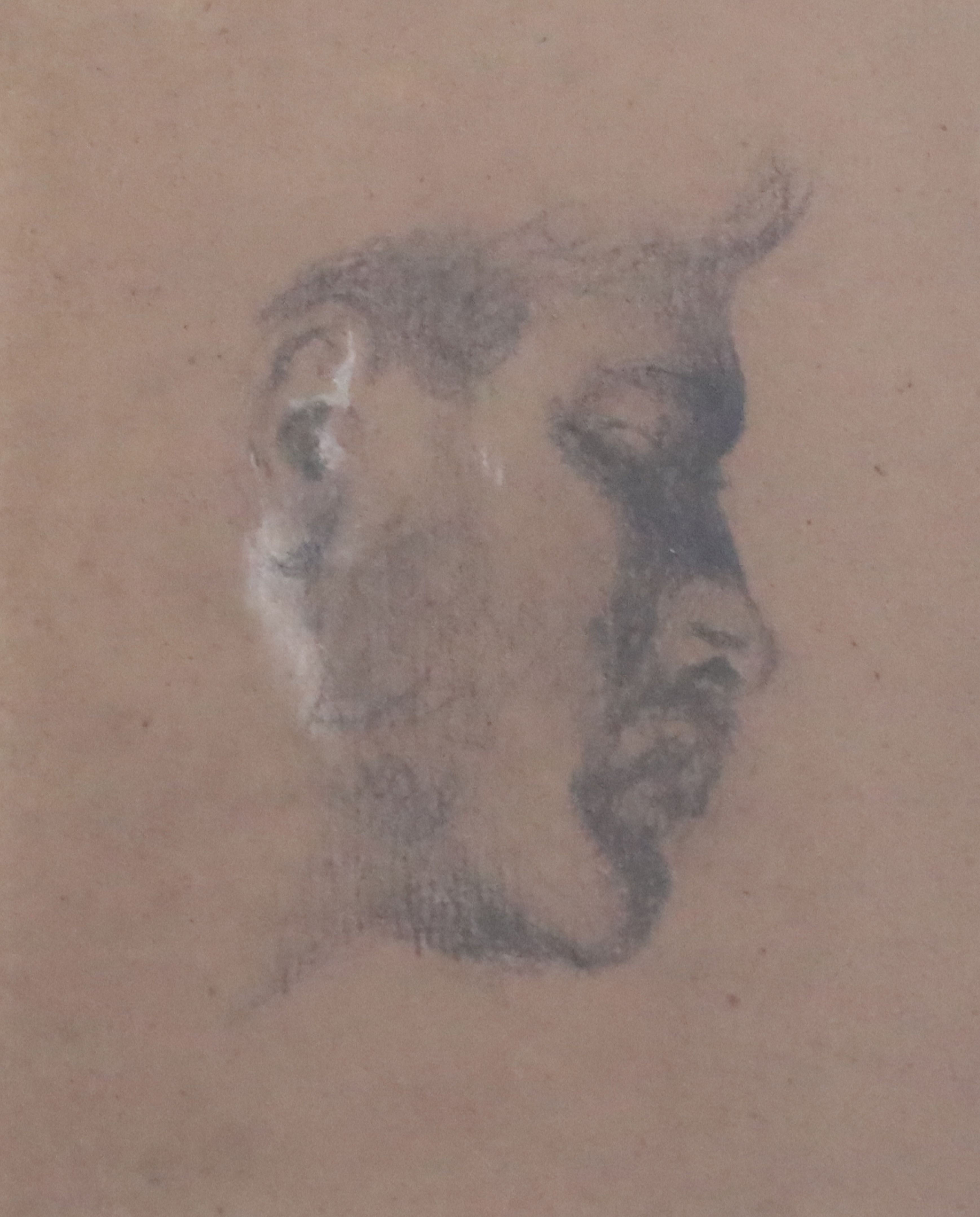 William Etty R.A. (1787-1849)black chalk heightened with whiteProfile study of a man's headMaas & Co