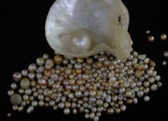 A quantity of loose undrilled (untested) pearls of varying shapes, colours and sizes and a pearl