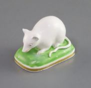 A Derby porcelain figure of a recumbent white mouse, c.1825-35, red printed 'BLOOR DERBY' mark, L.
