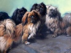 Fannie Moody (1861-1948)pastel'The Family'; four Pekinese dogssigned24 x 31in.