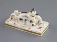 A Rockingham porcelain group of a cat and three kittens, c.1826-30, the rectangular base with red-