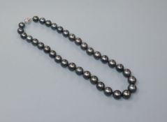 A single strand cultured Tahitian cultured pearl necklace, with 585 pierced white metal clasp,