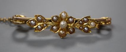 An Edwardian yellow metal and seed pearl set flower head bar brooch, 38mm.