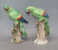 A pair of Continental porcelain models of parrots, with a gold painted anchor to the base, height