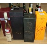 Twenty five assorted bottles of wine and spirits including Tokaji 1993 and four empty Champagne