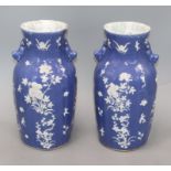 A pair of 19th century Chinese blue ground vases, with white floral decoration