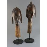 Two African tribal wood heads, probably Mumuye, Nigeria,