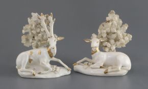 A pair of Derby gilt and white porcelain figures of deer, c.1810-30, each recumbent before bocage,