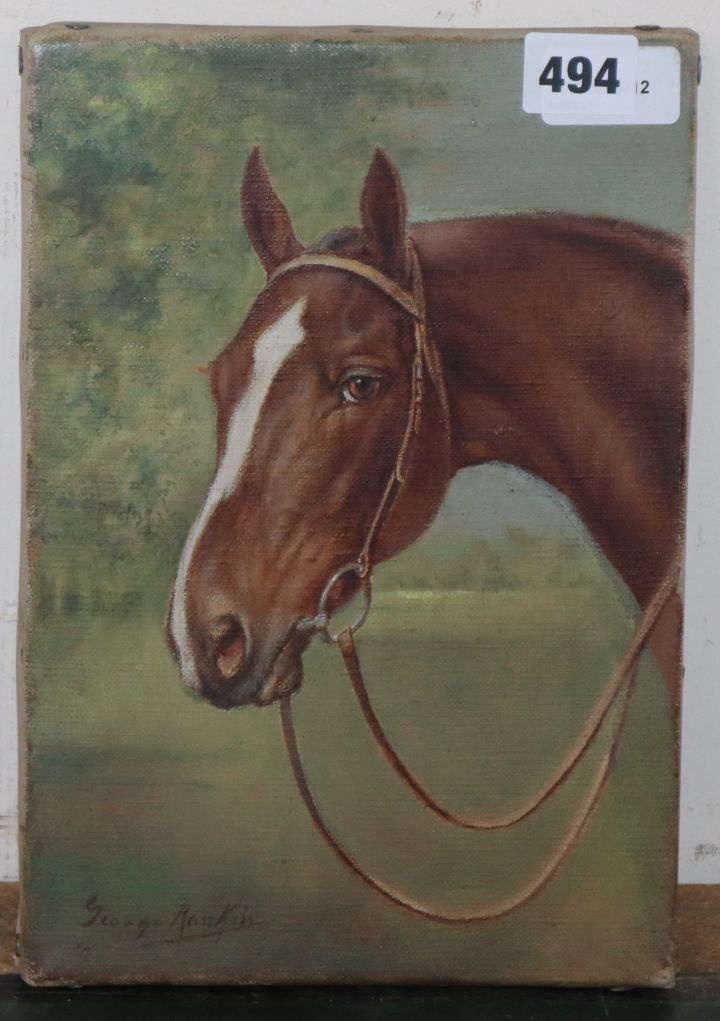 George James Rankin (1864-1987), Portrait of a bay horse (head), signed, oil on canvas (mounted,