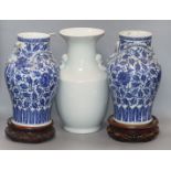 A pair of 19th century Chinese blue and white vases with applied dragons to the neck, wood stands