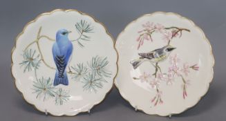 The Birds by Dorothy Doughty Royal Worcester plates
