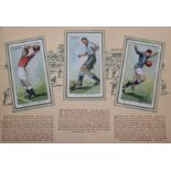 A collection of cigarette cards