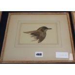 Archibald Thorburn (1860-1935) - watercolour, Young Blackbird, signed monogram, 10.5 x 16.5cm