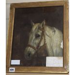 Attributed to Edward Calvert (1799-1883), oil on canvas, Study of a white horse, 34 x 29cm