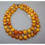 Two single strand amber bead necklaces, gross weight 245 grams, longest 54cm.