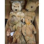 Five various sized plus teddy bears and a monkey hand puppet