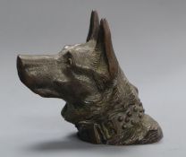 A bronze head of a dog