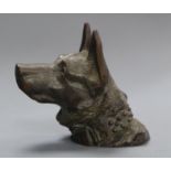 A bronze head of a dog