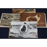 Edwardian and later postcards, including topographical, Donal and McGill etc. Approx. 170