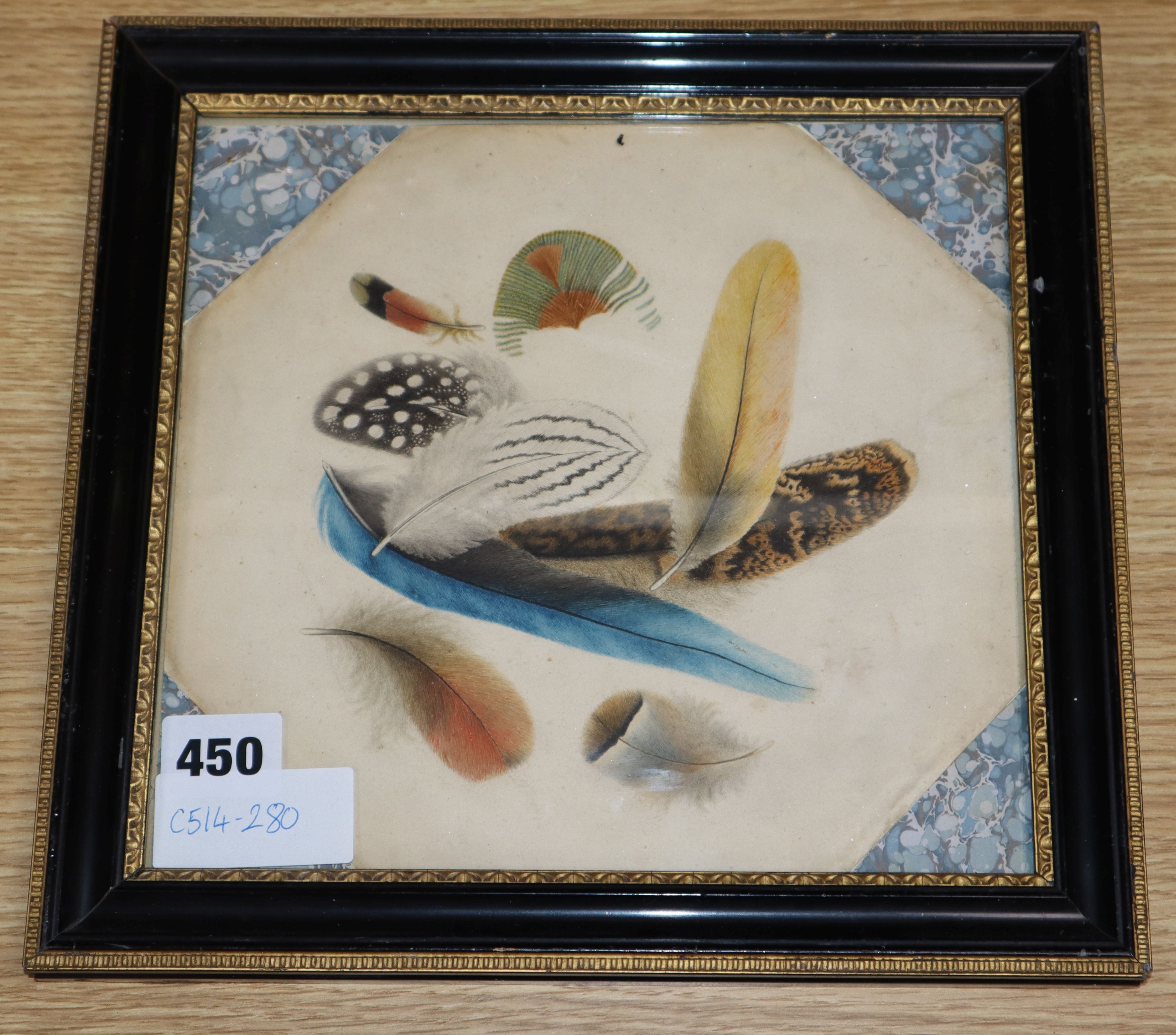 19th century English School, watercolour, Clin d'Oeuil - Study of feathers, 21 x 22.5cm