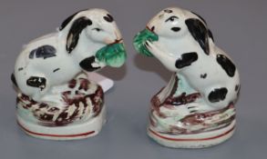 A pair of Staffordshire black and white pottery rabbits, seated on their haunches and nibbling