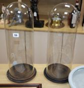 A pair of glass domes on wood stands height 48cm