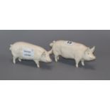 A pair of Beswick pigs length 15cm