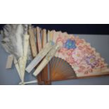 A collection of eleven fans including an ostrich feather fan