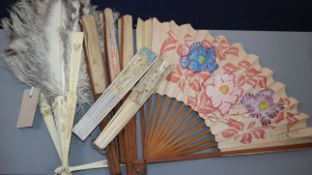 A collection of eleven fans including an ostrich feather fan